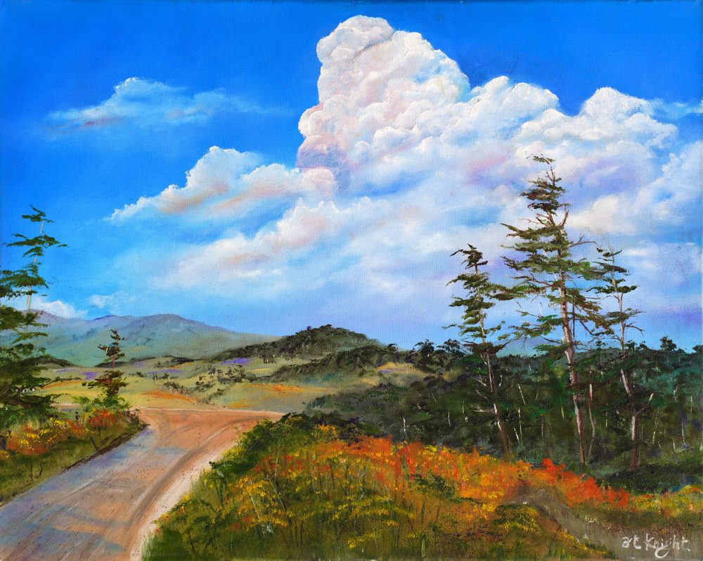 San Simeon Washburn